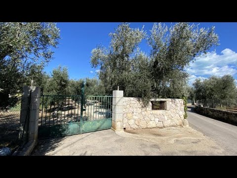 Casa Ulivo, Mattinata, Italy