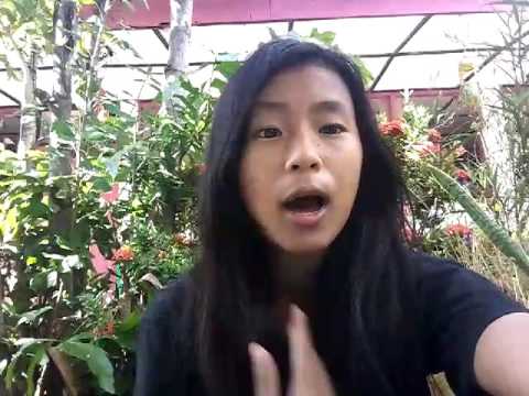 PeaceAndHarmony(PeDHie'R)