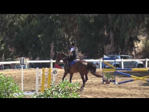 Isidora con Chocolate 0,60m Club Las Condes