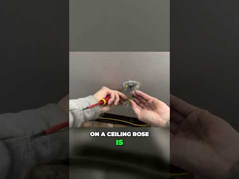 Mastering Ceiling Rose Wiring Essential Tips for Electrical Switches
