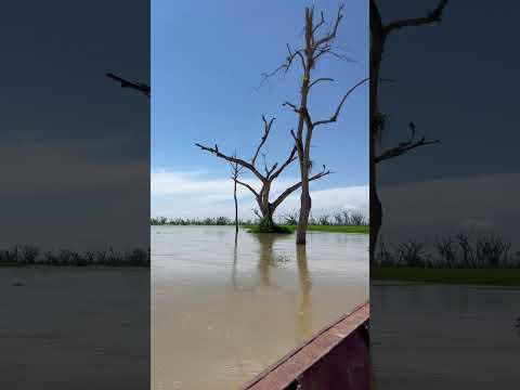 Guaranda Sucre, territorio resiliente.  #caballos #Guaranda #Inundaciones #finca #LaMojana #Mojana