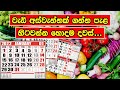 පාරම්පරික ගොවිතැනට අනුව වගා කරන්න හො�