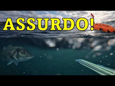 CATTURO UNA SPIGOLA DALLA SUPERFICIE! - Pesca sub Toscana