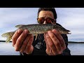 Video Thumbnail for Small & vicious northern pike