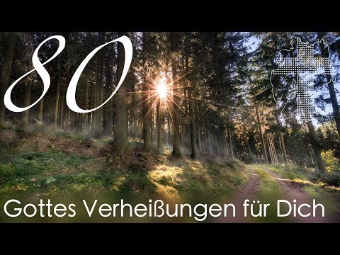 Gottes Verheißungen für Dich - Psalm 37,24 | Videokalender 80/365 - Deutschland braucht JESUS
