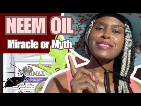 Neem Oil in the Garden: What It Really Does (and Doesn’t Do)