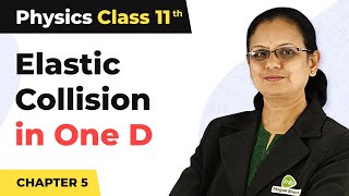 Elastic Collision in One Dimension - Work, Energy and Power | Class 11 Physics