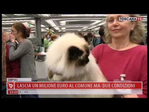 2019-11-02 TG REGIONALE ORE 19.00