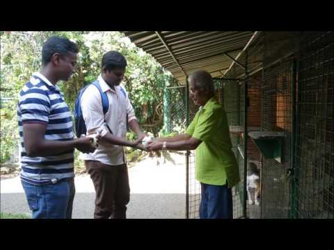 Winners of Competition, Lahiru and Abishek