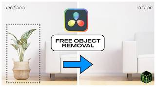 FREE Object Removal Plugin for DaVinci Resolve Fusion | RemObj-Fuse