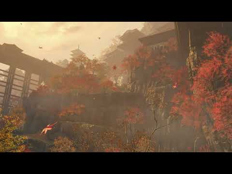 Onimusha: Dawn of Dreams OST - Hideout 1 (Extended)