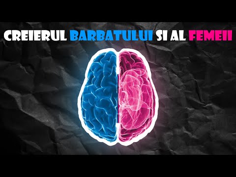 CREIERUL UMAN - DIFERENTA DINTRE BARBATI SI FEMEI