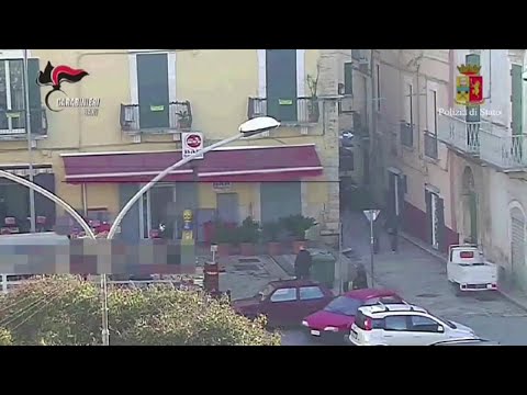 Tigre recensioni occhio crema per le revisioni congiunte La displasia dellanca Samoyeds