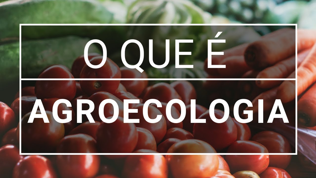 O que é agroecologia