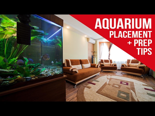 HOW TO: Prepare for a New Aquarium