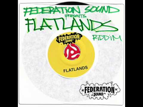 Mr. Lexx - Diggy (Flatlands Riddim) (2011)