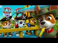 Os Animais Da Selva Estão Hipnotizados Patrulha Pata PAW Patrol Episódio Português