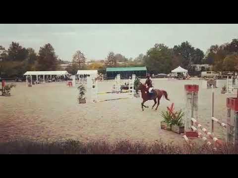 WLKS Krakus Swoszowice LL 80