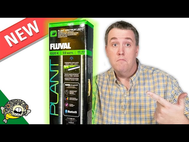 Video Pronunciation of Fluval in English