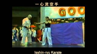 43yr old Mom of 3, Sherry Lynn Lang, martial arts demo