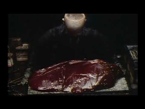 Cinematographic Consciousness in the Short Films of the Brothers Quay