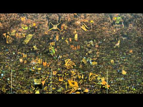 Der Muri - Es ist Borussia