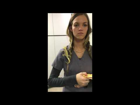 Harris Pet Hospital Mannequin challenge