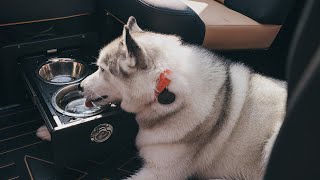 MasterCraft 2024 Ashley Kidd Edition XT23 Dog Bowl Drawer