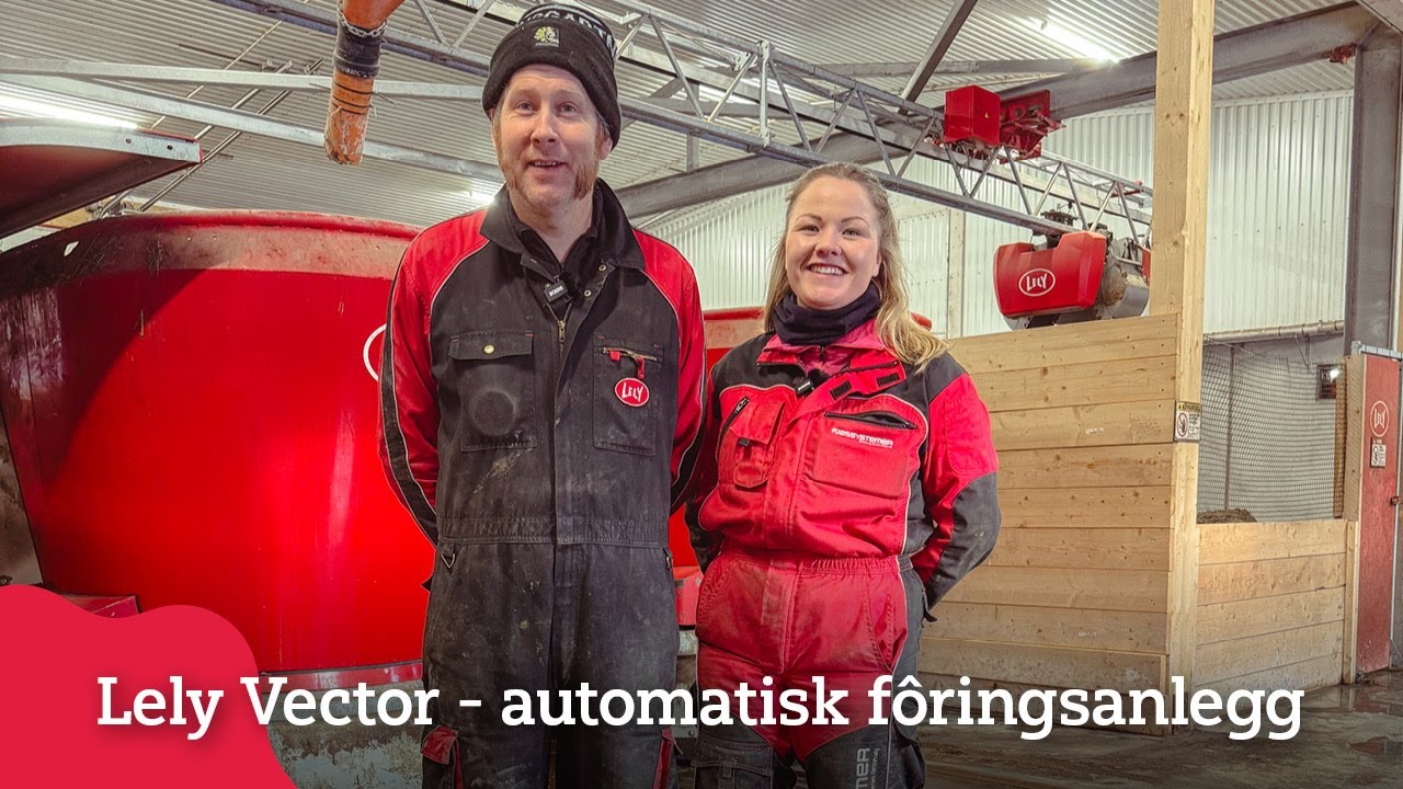 Lely Vector, automatisk fôringsanlegg hos Snorre Langeland