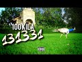 100 KILA 131331 Official Video