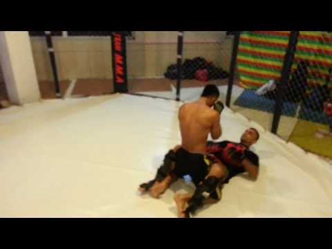 UFC MMA kurdish fighter