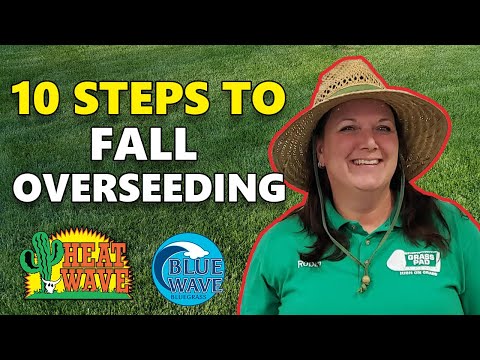 10 Idiot Proof Steps to Overseeding Your Lawn This Fall