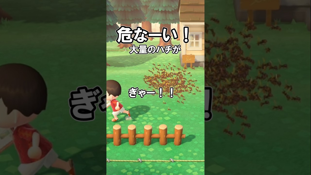 大量（12匹）のハチ🐝！？ 【あつ森】@ほのげ