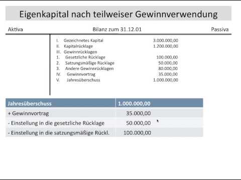 Appropriation of profits of a stock corporation, retained earnings, retained profit, profit carri...
