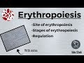 Erythropoiesis | RBC | Erythrocytes || Blood Physiology