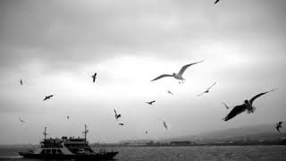 İstanbullu Gelin 29. Bölüm - Hümeyra - Tutsana Ellerimi