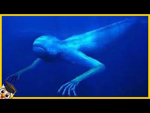 10 Mysterious Underwater Monsters