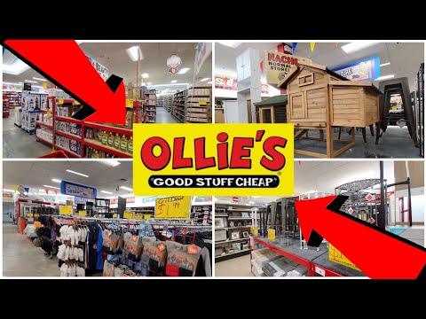 OLLIE'S BARGAIN OUTLET | QUICK | SHOP WITH ME