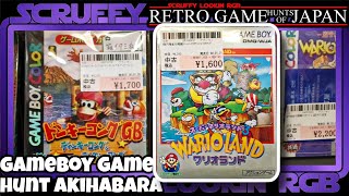 Gameboy Game Hunting Akihabara