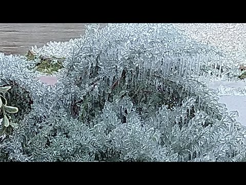 My Front yard after ice storm ⛈ Oklahoma City 10/27/2020