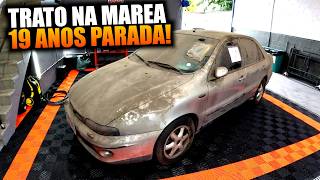 TRATO NA MAREA DO LEILÃO!
