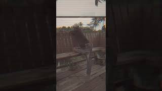 Download lagu Perokok santuy mp3