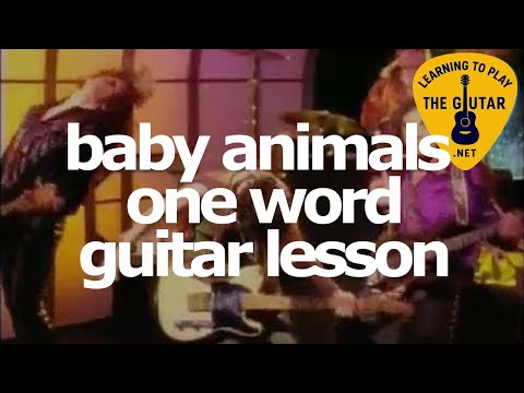 One Word - Baby Animals
