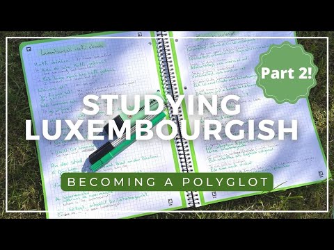 Learning a language in 48H?! - speaking Luxembourgish // PART 2  - Becoming a Polyglot