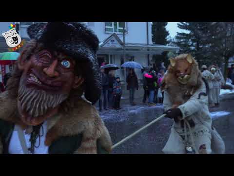 Jubiläumsumzug 10 Jahre Wutach Hexen Blumberg e.V.   20.01.2018 (4K)