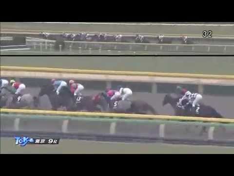 2015.02.22 Hyacinth Stakes (JPN) - Golden Barows