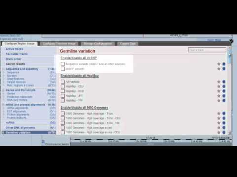Browsing SNPs and Copy Number Variation in Ensembl