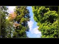 Suna Hai Whatsapp Status Shreya Ghosal