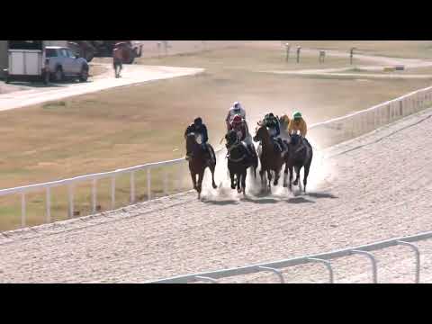 2022.07.03. 07. futam - EQUINE PRODUCTS HENDIKEP (II.o.) (szintetikus pálya)