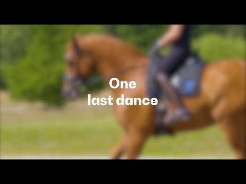 Cassidy - One Last Dance